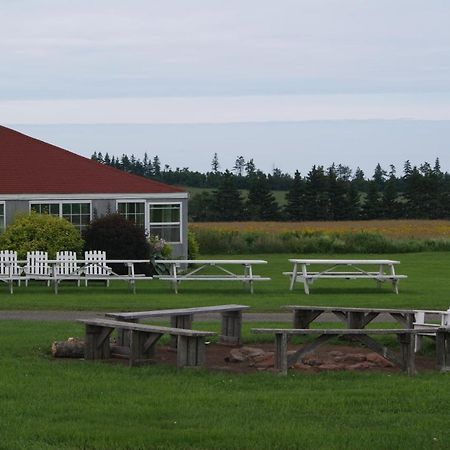 Stanley Bridge Country Resort And Conference Centre Exteriör bild